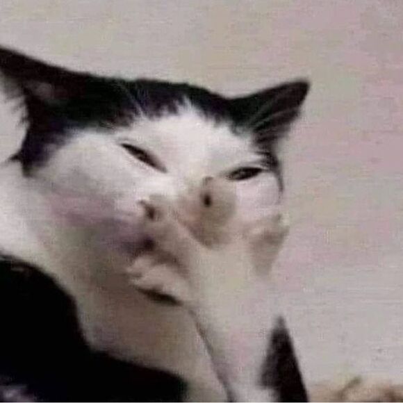 Express Navy and White Striped Apparel - Picture 5 of 6